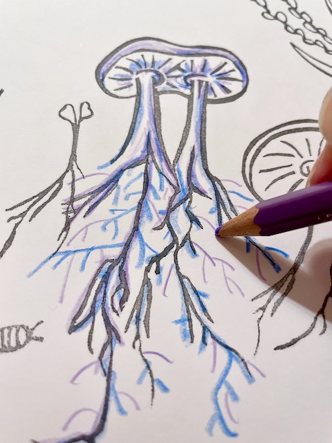 black and grey outlines of two mushrooms growing with their caps fused together with a sprout and pill bug around them. The mushroom's roots are visible, and a light skinned hand is coloring in the mushrooms with a light purple colored pencil. A dark blue crayon has already colored in part of the mushrooms