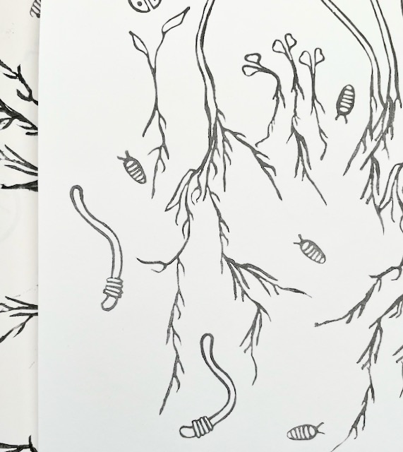 partial view of a coloring book page in black and white showing sprouts and plants growing with roots. Worms and rollie polie bigs are among the roots, there is no demarcation between soil and air